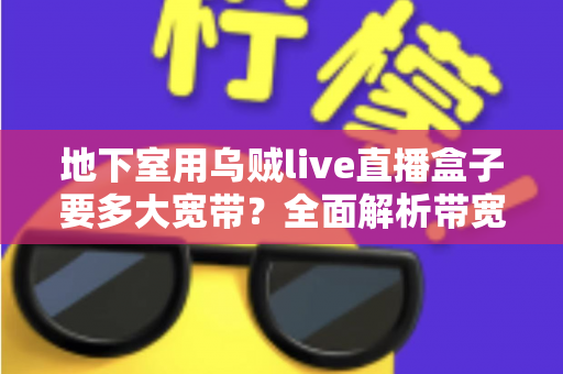 地下室用乌贼live直播盒子要多大宽带？全面解析带宽需求与网络优化指南