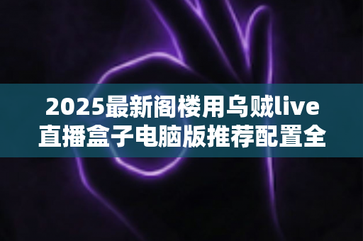 2025最新阁楼用乌贼live直播盒子电脑版推荐配置全攻略：从入门到专业主播的硬件选择指南