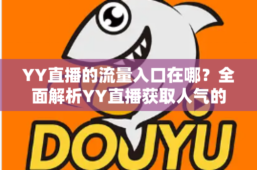 YY直播的流量入口在哪?全面解析YY直播获取人气的核心渠道与实用运营指南 YY直播的流量入口在哪?全面解析YY直播获取人气的核心渠道与实用运营指南