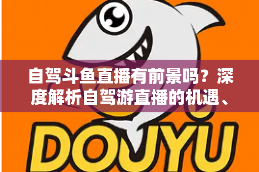 自驾斗鱼直播有前景吗？深度解析自驾游直播的机遇、挑战与变现之路