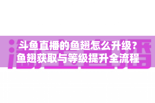 斗鱼直播的鱼翅怎么升级？鱼翅获取与等级提升全流程攻略详解