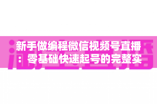 新手做编程微信视频号直播：零基础快速起号的完整实战指南
