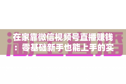 在家靠微信视频号直播赚钱:零基础新手也能上手的实战指南 在家靠微信视频号直播赚钱:零基础新手也能上手的实战指南