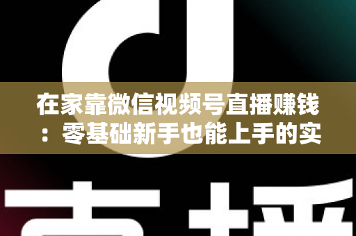 在家靠微信视频号直播赚钱:零基础新手也能上手的实战指南 在家靠微信视频号直播赚钱:零基础新手也能上手的实战指南
