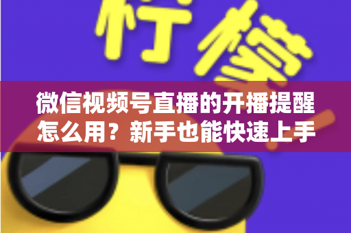 微信视频号直播的开播提醒怎么用？新手也能快速上手的完整操作指南与涨粉秘籍