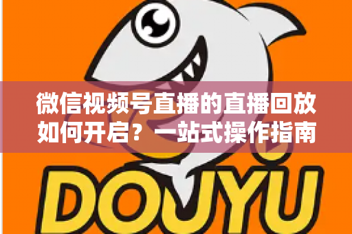 微信视频号直播的直播回放如何开启？一站式操作指南，让每一场直播都能被反复观看