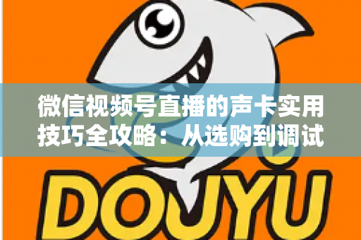 微信视频号直播的声卡实用技巧全攻略:从选购到调试,打造专业级直播音质 微信视频号直播的声卡实用技巧全攻略:从选购到调试,打造专业级直播音质