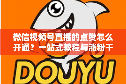 微信视频号直播的点赞怎么开通？一站式教程与涨粉干货全解析