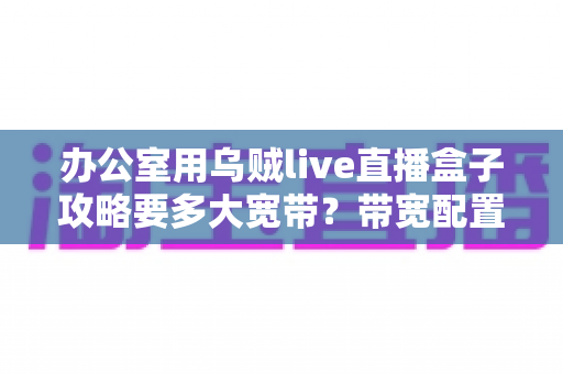 办公室用乌贼live直播盒子攻略要多大宽带？带宽配置与网络优化全指南