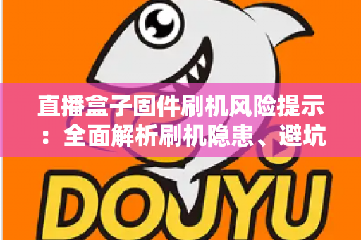 直播盒子固件刷机风险提示：全面解析刷机隐患、避坑要点与安全防护实用指南