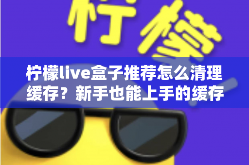 柠檬live盒子推荐怎么清理缓存?新手也能上手的缓存清理全攻略 柠檬live盒子推荐怎么清理缓存?新手也能上手的缓存清理全攻略