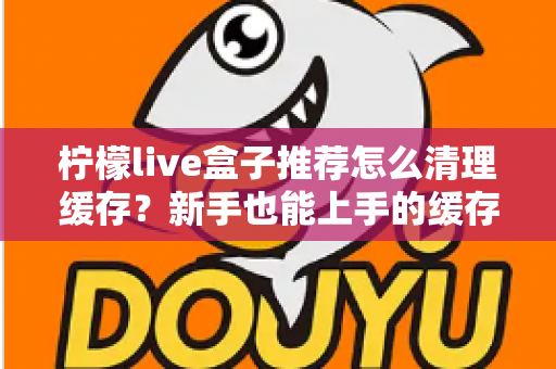 柠檬live盒子推荐怎么清理缓存?新手也能上手的缓存清理全攻略 柠檬live盒子推荐怎么清理缓存?新手也能上手的缓存清理全攻略